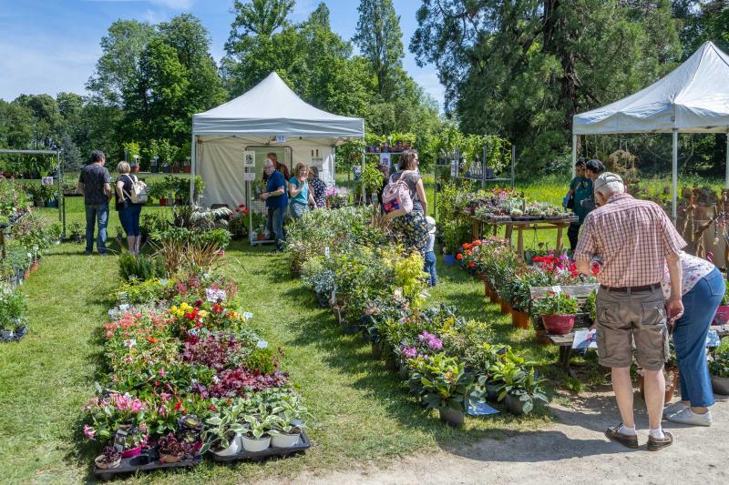 2024-05-11-Fete-des-Jardins-selec-site-2097