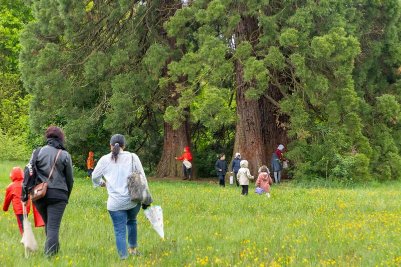 2025-04-21-Chasse-aux-oeufs-web-7946